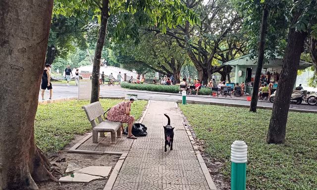Chó không rọ mõm 'lông nhông' ngoài đường: Lực lượng nào có thẩm quyền bắt giữ và xử phạt? 