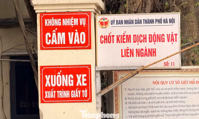 Vụ tiêu thụ gần 300 tấn lợn bệnh ở Hà Nội: Thu giữ cuốn sổ ghi chép việc ăn chia tiền 'làm luật' 