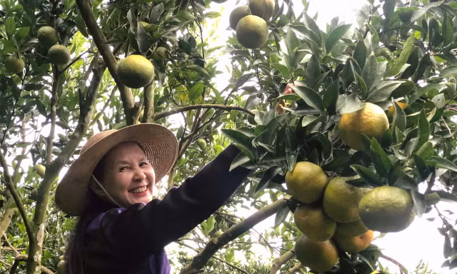 Người dân vùng biên thoát nghèo nhờ chuyển đổi mô hình sản xuất