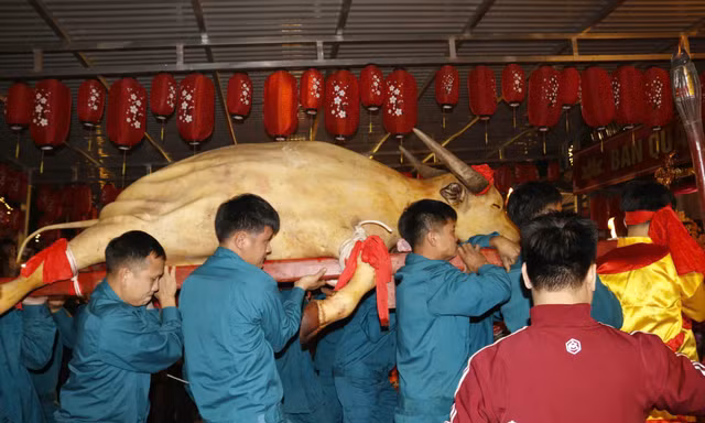Hàng nghìn người xuyên đêm xem lễ tế trâu trắng và rước Mẫu ở Lào Cai