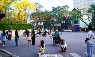 Vô tư đứng, ngồi giữa lòng đường chụp ảnh với hoa phong linh