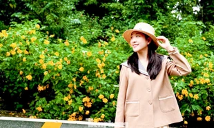 Bạn trẻ vượt 100 km lên Ba Vì chụp hoa dã quỳ trong mưa rét