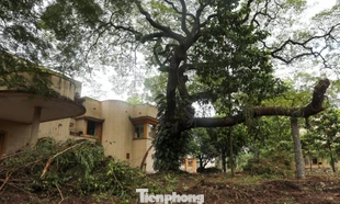 Gấp rút tháo dỡ biệt thự cũ làm đài tưởng niệm nạn nhân COVID-19 ở TPHCM