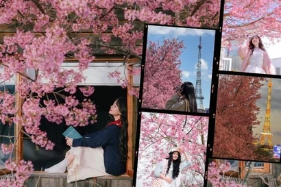 Điểm danh tọa độ ngắm mai anh đào "đỉnh chóp" tại Đà Lạt khiến giới trẻ mê mẩn