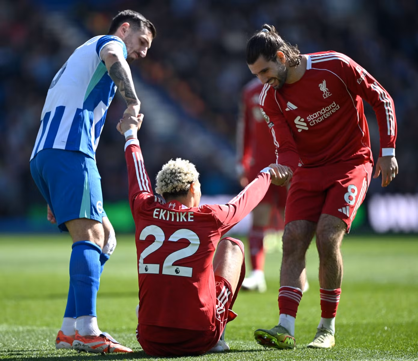 brighton-hove-albion-v-liverpool-premier-league.jpg