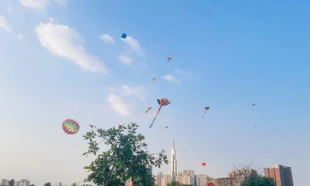 Cánh đồng diều Thủ Thiêm vào mùa 'hút' giới trẻ