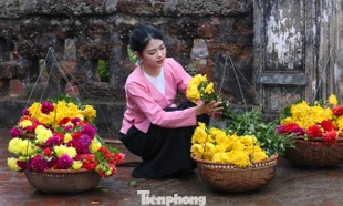 Người trẻ tái hiện Tết Việt ở Đường Lâm