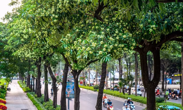 Chuyện không có gì phải ầm ĩ