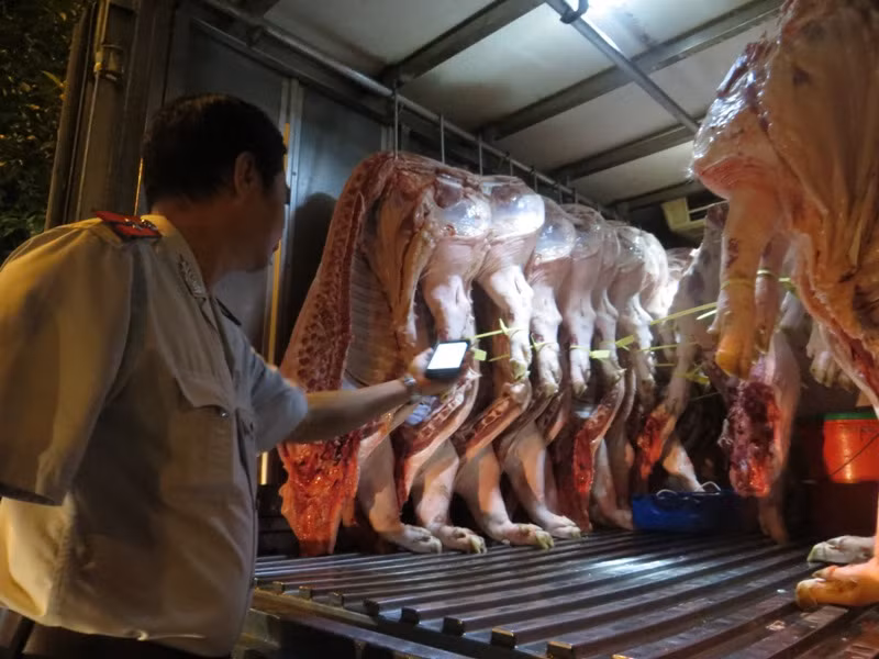 Cán bộ ATTP kiểm tra thông tin vòng truy xuất bằng điện thoại thông minh