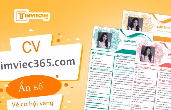 CV timviec365.com - Ẩn số cần được giải đáp về “cơ hội vàng”