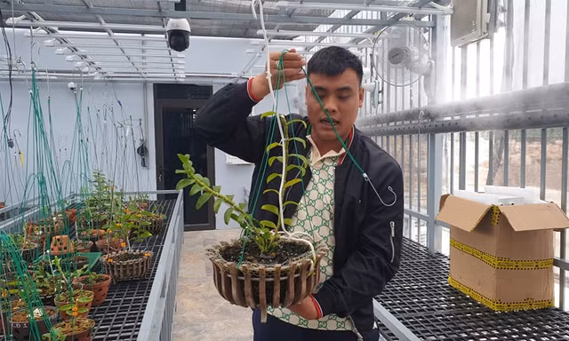 Bộ Công an bắt giữ 2 anh em đại gia lan Var đất mỏ