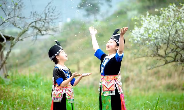 Thiếu nữ khoe sắc bên hoa mận nở trắng muốt nơi cổng trời đẹp như tranh