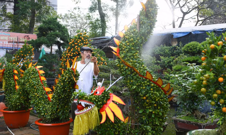 Cận cảnh siêu phẩm 'Long vân thủy' dài 3 mét từ 12 cây quất