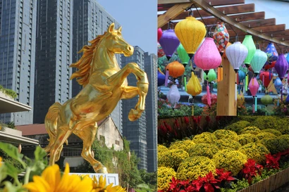 Du Xuân Bính Ngọ: Ghé những vườn hoa mới mở tại TP.HCM cùng gia đình, bạn bè