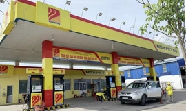 Công ty dầu khí Nam Sông Hậu: Giám đốc bị bắt, cổ phiếu lao đao 