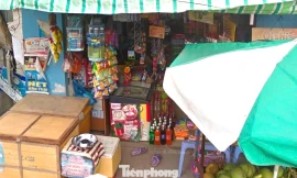 Vươn lên thoát nghèo từ vốn vay ưu đãi của Ngân hàng Chính sách Xã hội