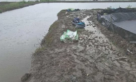 Hai người làm thuê tử vong nghi do sét đánh khi làm việc tại ao tôm