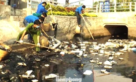 Cảnh báo ĐBSCL thành ‘điểm nóng’ rác thải nhựa