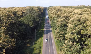 Ngỡ lạc vào phim khi đi trên con đường 5km xuyên rừng cổ thụ ở Đồng Nai