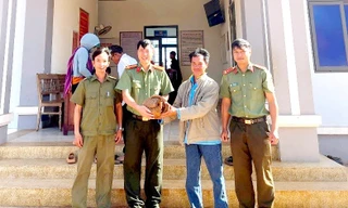 Người dân tự nguyện giao nộp cá thể động vật nguy cấp, quý hiếm