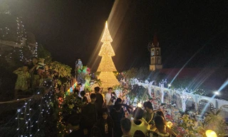 ‘Check-in' cây thông nón lá khổng lồ ở Đồng Nai 