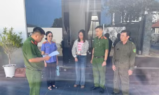 Khởi tố nhân viên tham ô 15 tấn hạt điều của công ty