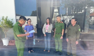 Khởi tố nhân viên tham ô 15 tấn hạt điều của công ty