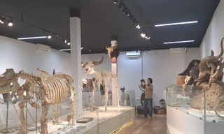 Độc đáo các loài chim thú quý hiếm qua bộ tiêu bản ở Vườn quốc gia Cát Tiên