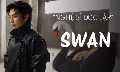 Từ Tân binh đến nghệ sĩ SWAN: "Mọi thứ trở nên lớn hơn, nhưng tôi vẫn là chính mình"