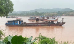 Tàu hút cát không số, không phao hoạt động rầm rộ trên sông Hồng qua Lào Cai 