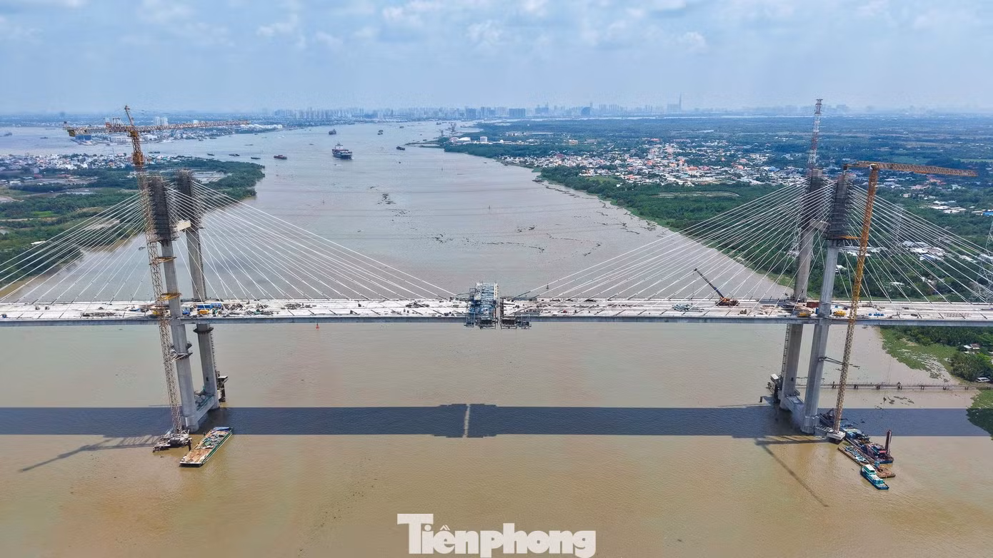 tp-5-7981.jpg