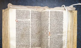 Giải mã nhầm lẫn 800 năm: Wade không đánh yêu tinh mà chiến đấu với… người sói?