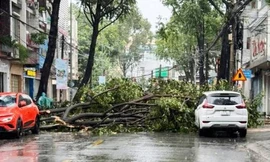 Hình ảnh và clip gió 'thổi bay' cây cối, mái nhà ở Đồng Nai, nhiều người hoảng loạn