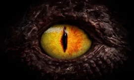 Căn bệnh hiếm gặp khiến bệnh nhân nhìn thấy mặt người như rồng