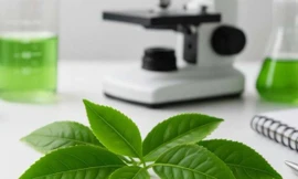 Uống trà xanh có tác dụng giảm cân và điều trị tiểu đường như thế nào?