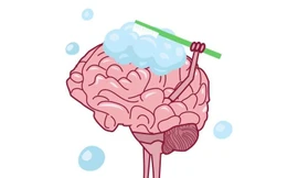 Bí quyết làm sạch não khi ngủ giúp giảm nguy cơ mắc chứng mất trí nhớ