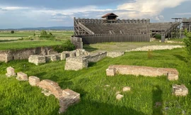 Phát hiện hộp sọ gấu nâu tiết lộ cuộc chiến sinh tử của đấu sĩ La Mã