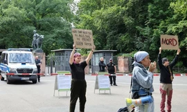 Sở thú giết 12 con khỉ đầu chó vì không đủ chỗ nuôi, bất chấp sự phản đối