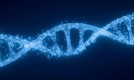 'Siêu năng lực' của con người chưa được khai thác từ các gien ngủ đông