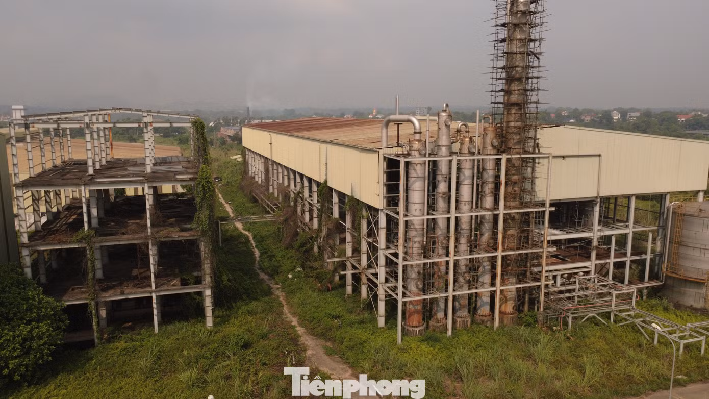 tp-c_dji-0953.jpg
