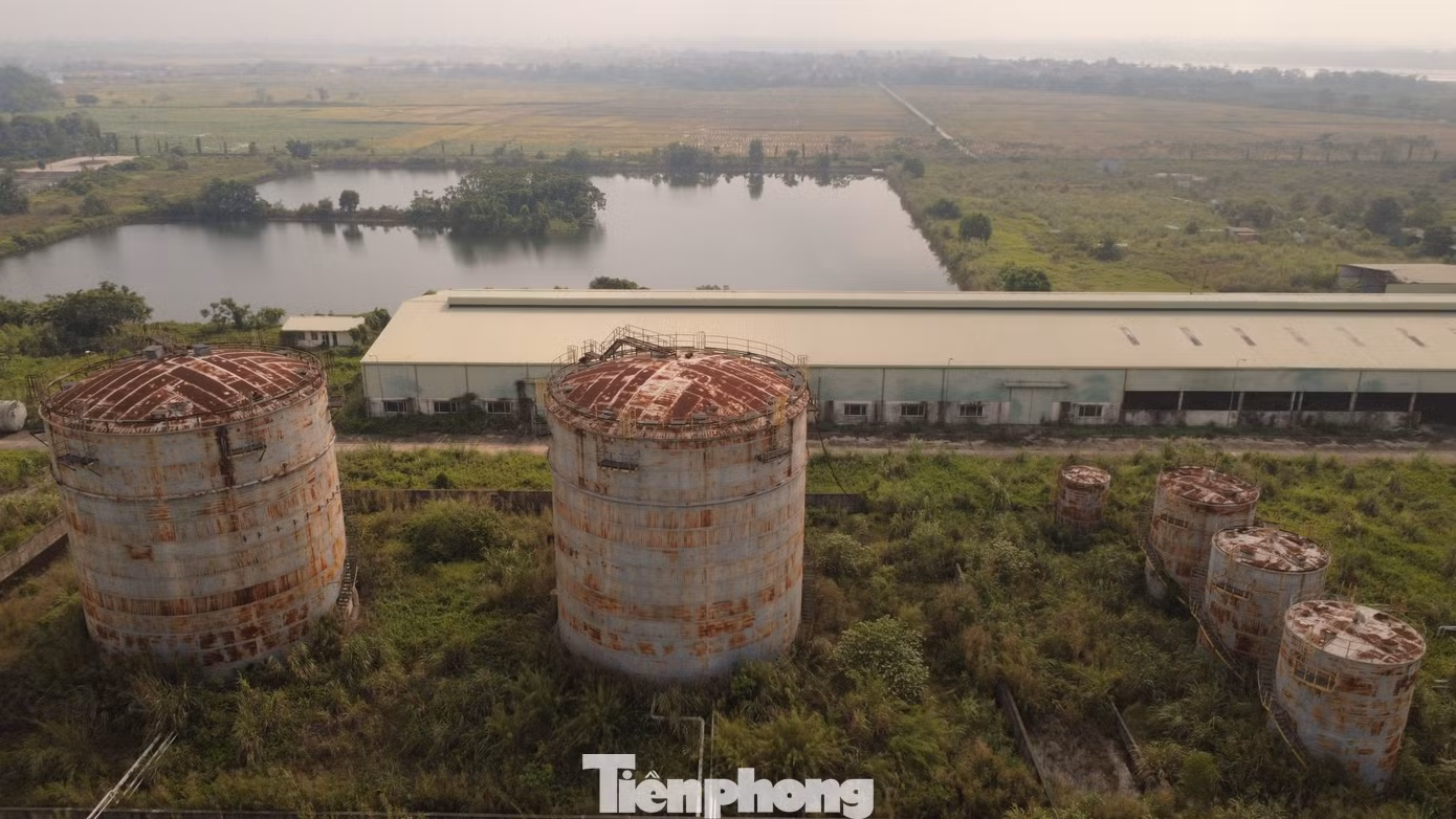 tp-c_dji-0933.jpg