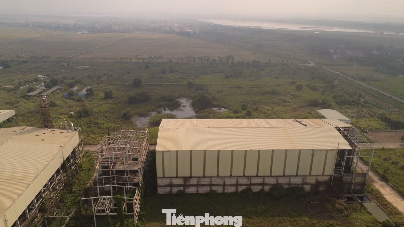 tp-c_dji-0946.jpg