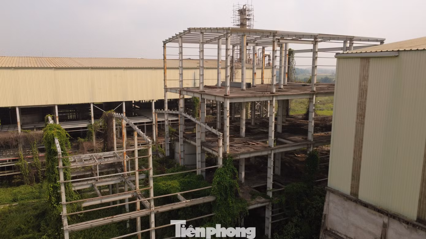 tp-c_dji-0929.jpg