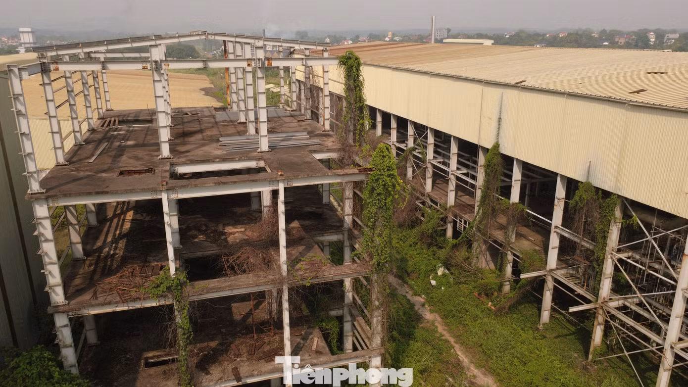 tp-c_dji-0951.jpg