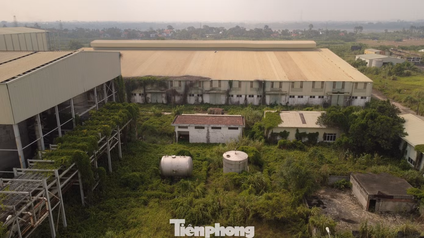 tp-c_dji-0938.jpg