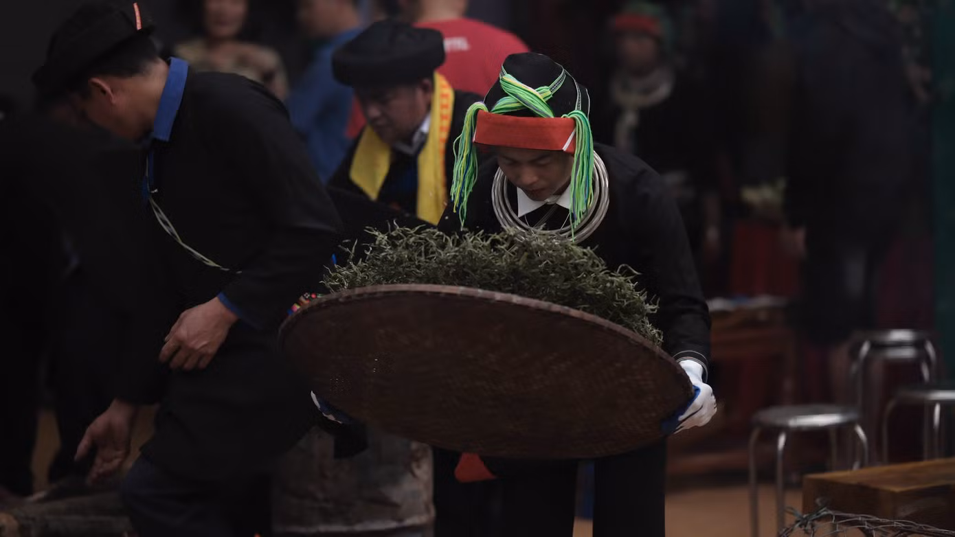 che-shan-tuyet-cao-bo