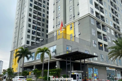 Bất động sản vệ tinh TPHCM diễn biến ra sao?