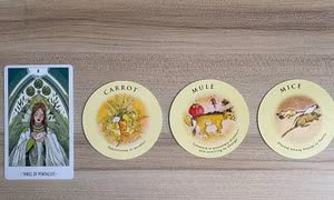 Tarot tuần này: Song Tử đạt thành tựu mới, Xử Nữ dễ bị hiểu lầm