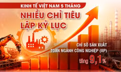 Kinh tế Việt Nam 5 tháng: Nhiều chỉ tiêu lập kỷ lục 