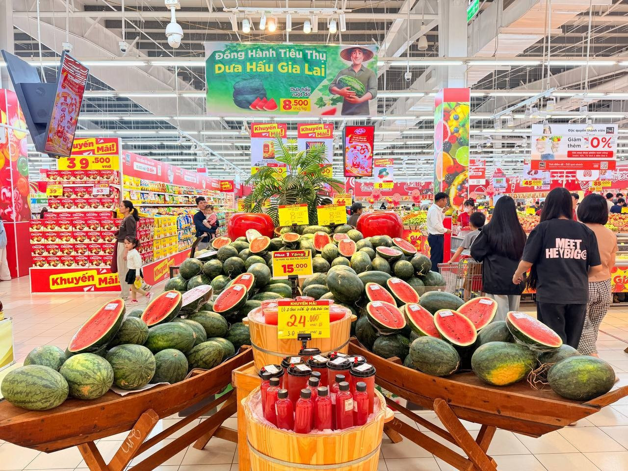 5-dua-hau-gia-lai-dang-duoc-trung-bay-bat-mat-tai-he-thong-sieu-thi-go.jpg